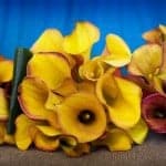 Colourful Caribbean bouquets