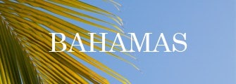 best wedding vendors in the Bahamas