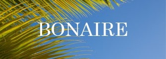 best wedding vendors in Bonaire