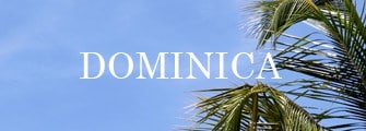 best wedding vendors in Dominica