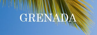 best wedding vendors in Grenada
