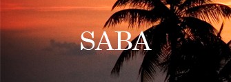 best wedding vendors in Saba