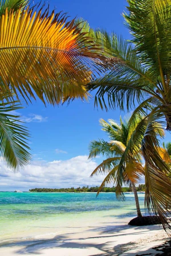 Beach in the Bahamas