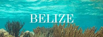 Belize Button