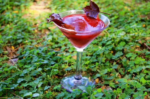 Cilantro Margarita