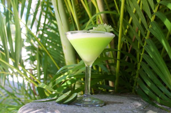 Lemon Refresher Cocktail