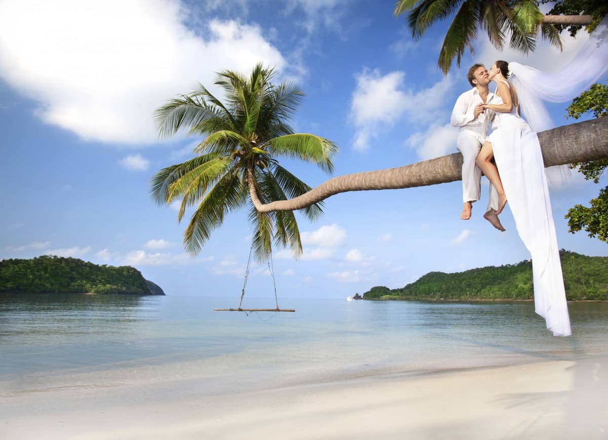 Couple in a coconut tree