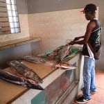 fish vendor castries