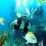 Abacus Beach Resort Diving