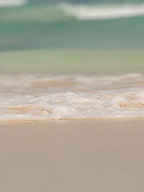 Welcome to Barbados