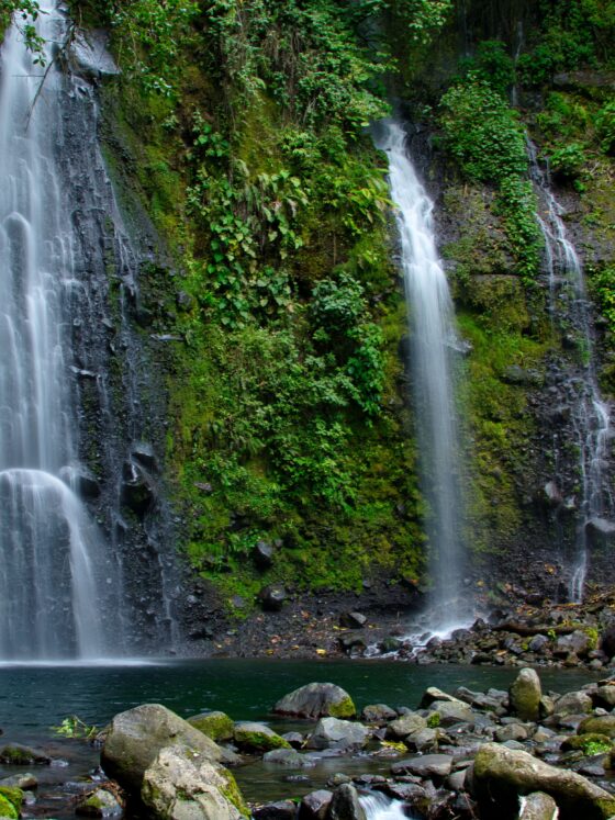 Welcome to Dominica