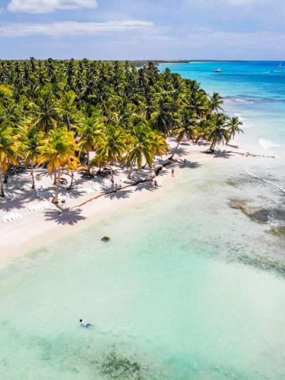 Welcome to the Dominican Republic