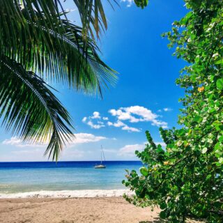 Welcome to Martinique