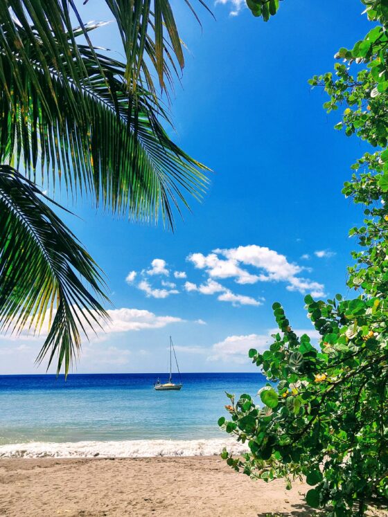 Welcome to Guadeloupe