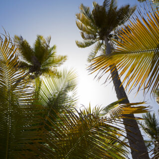 Welcome to the Dominican Republic