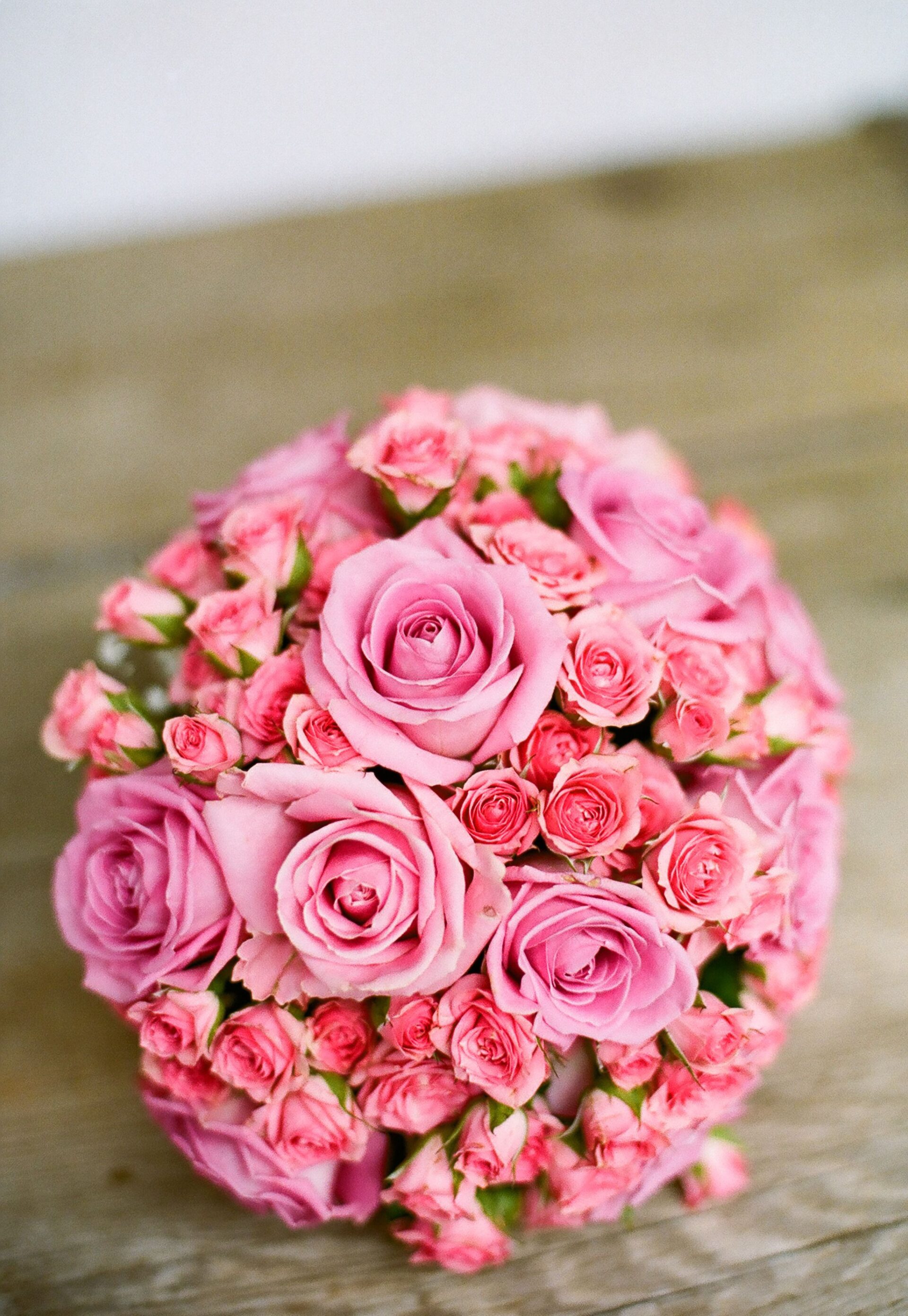 All About Floral Colours