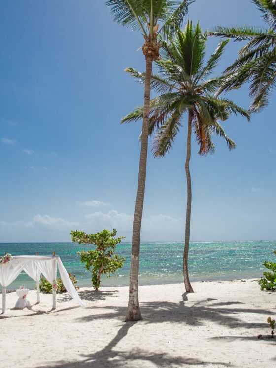 Romantic Things To Do On Your Honeymoon