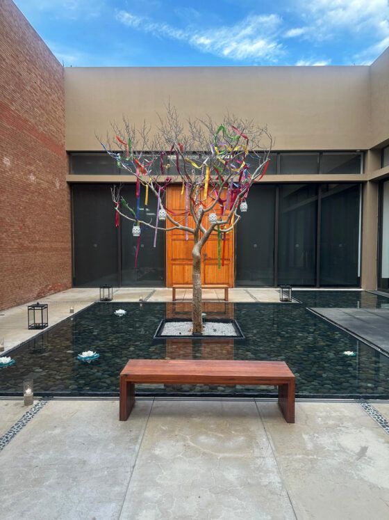 Exploring the Marriott Collection